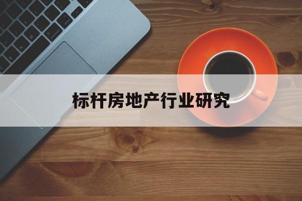 常德市标杆房地产行业研究(房地产领域的标杆人物)