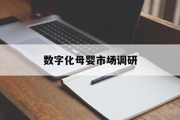 常德市数字化母婴市场调研(数字化母婴市场调研报告)